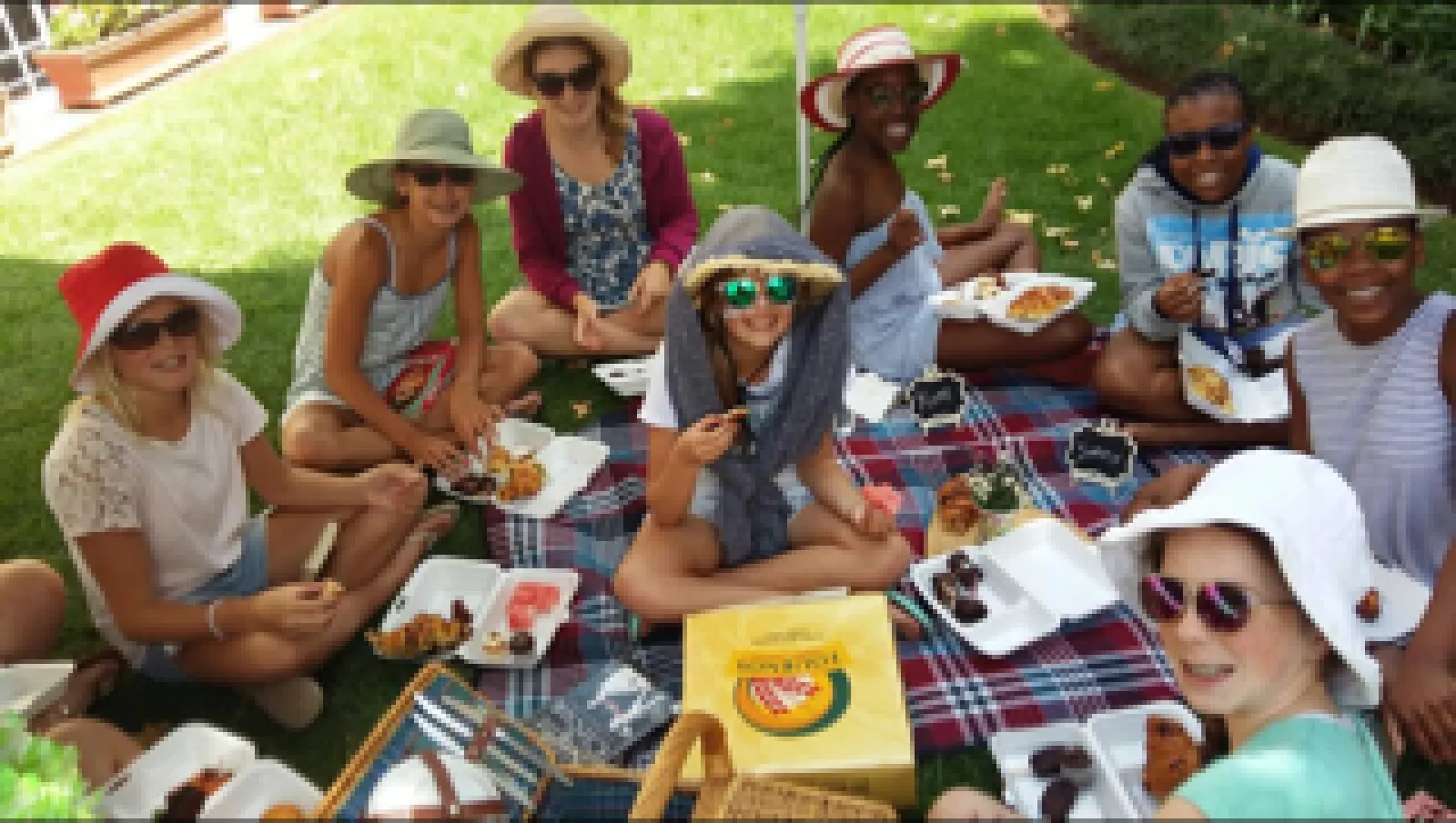 The fellowship of friends fiction and food