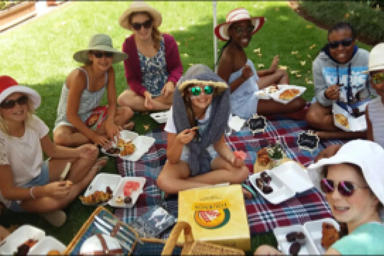 The fellowship of friends fiction and food