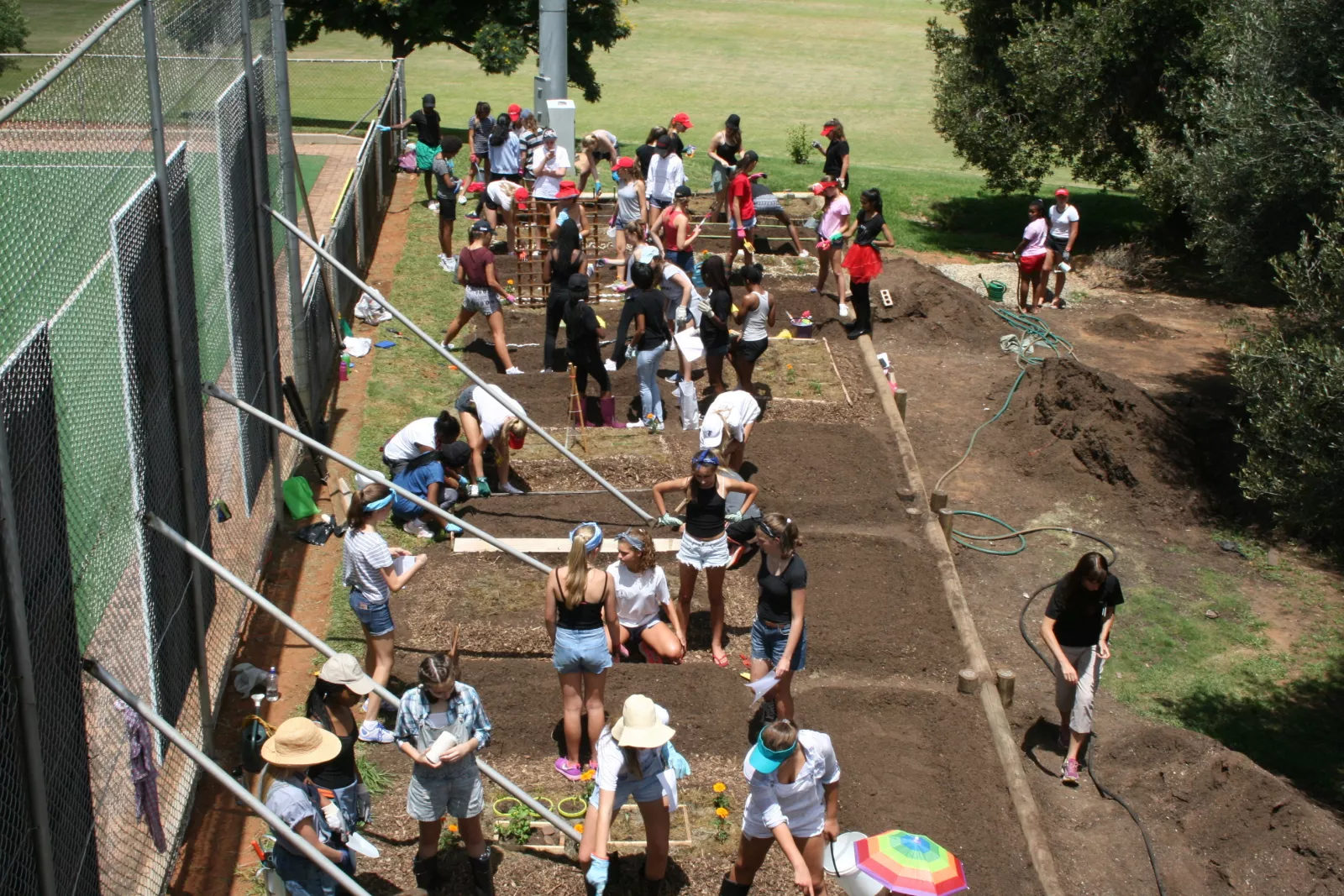 St marys delicious food