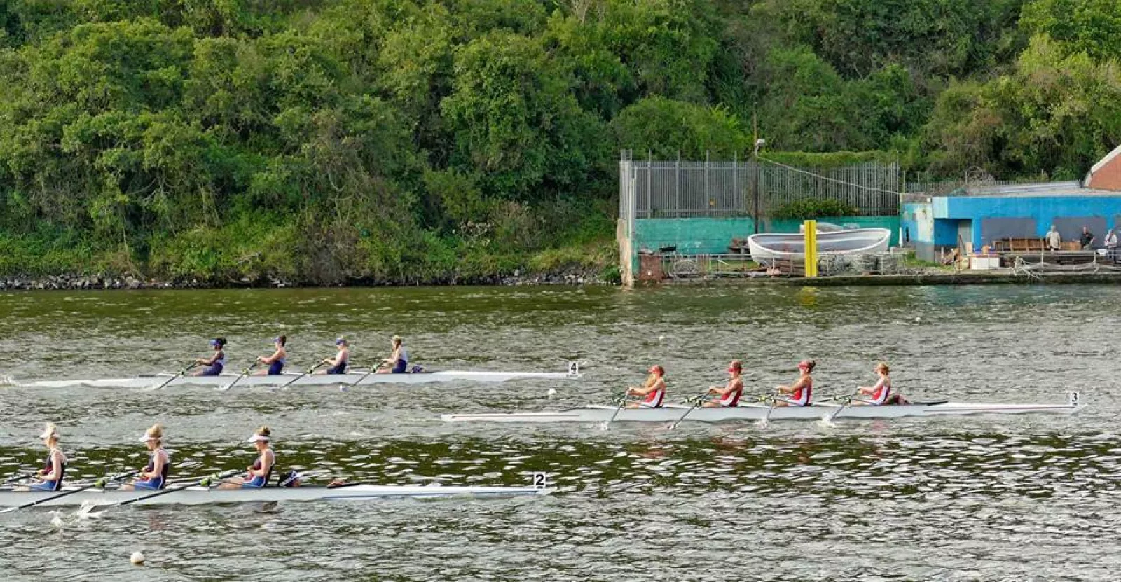 12688282 1670545713187675 5860495873050844005 n