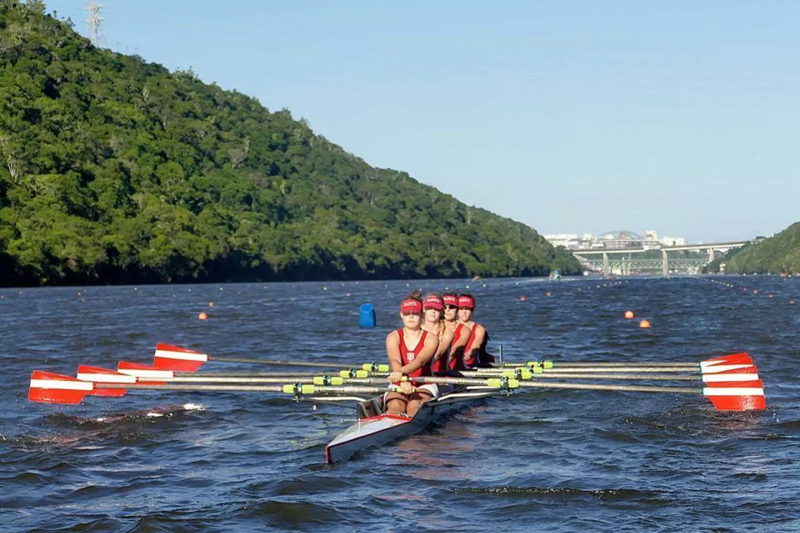 12742638 1670545666521013 3269752739955124724 n