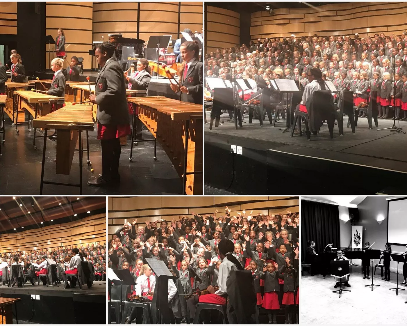 Junior School Music Evening