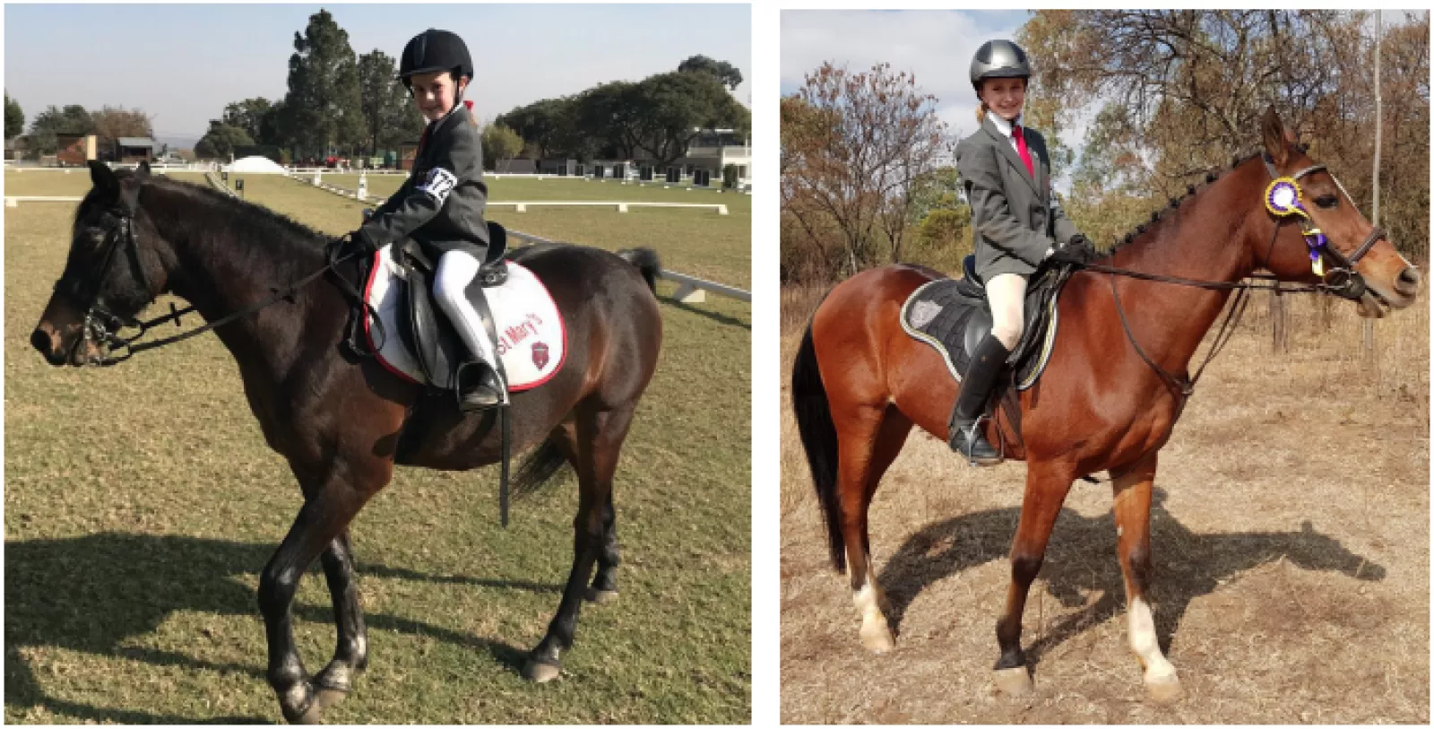 Screenshot 2019 09 17 at 12 17 26