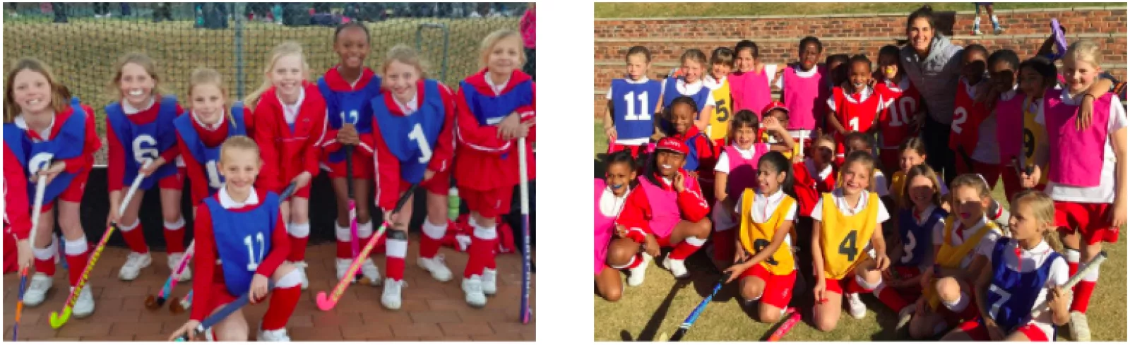 Screen Shot 2019 08 05 at 2 48 51 PM 778 238