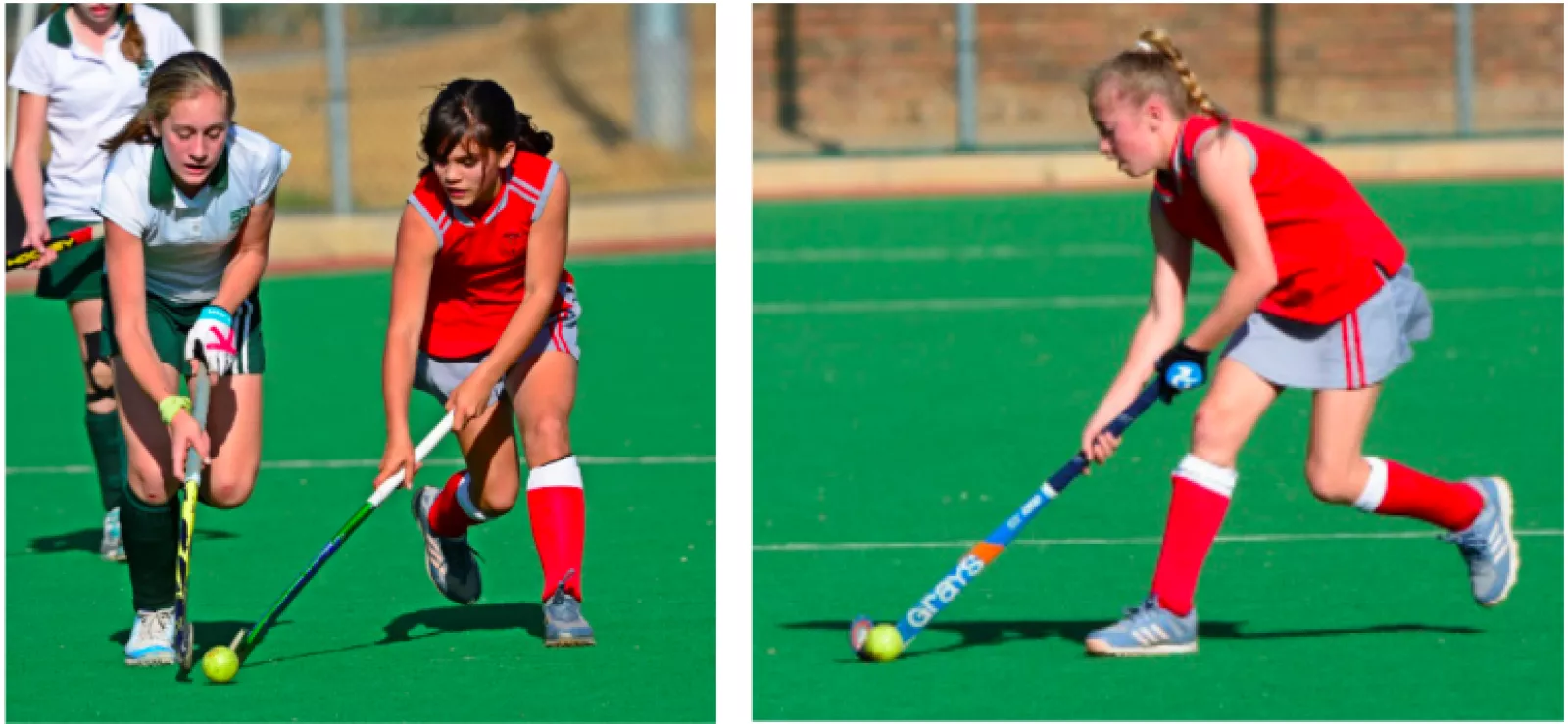 Screen Shot 2019 08 05 at 2 59 25 PM 775 358