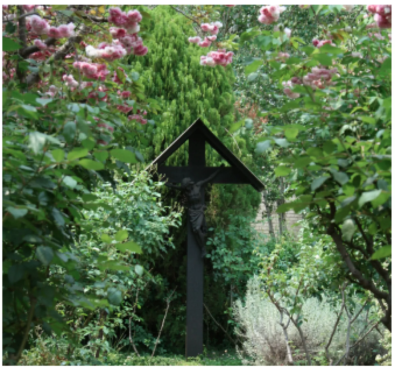 Chaplins message pic 4 October