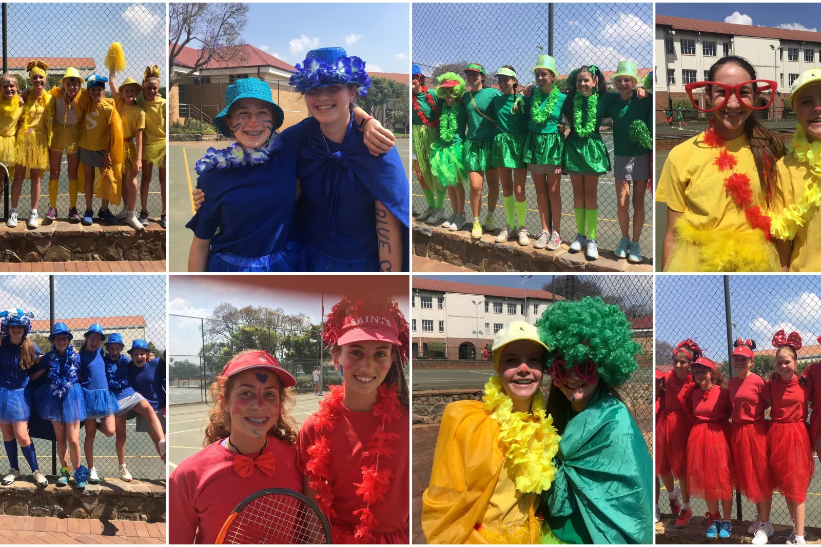 Tennis inter house collage