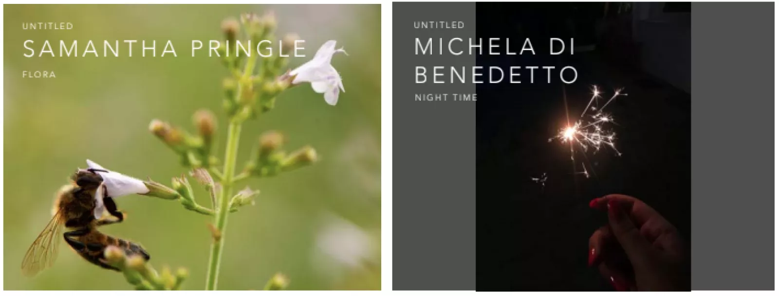 Screenshot 2019 11 25 at 09 41 38