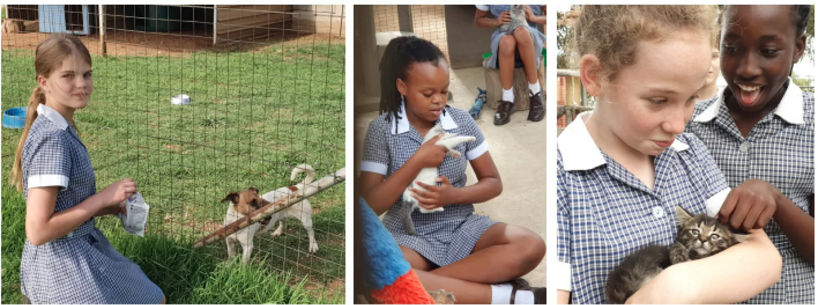 Screenshot 2019 12 03 at 13 49 33