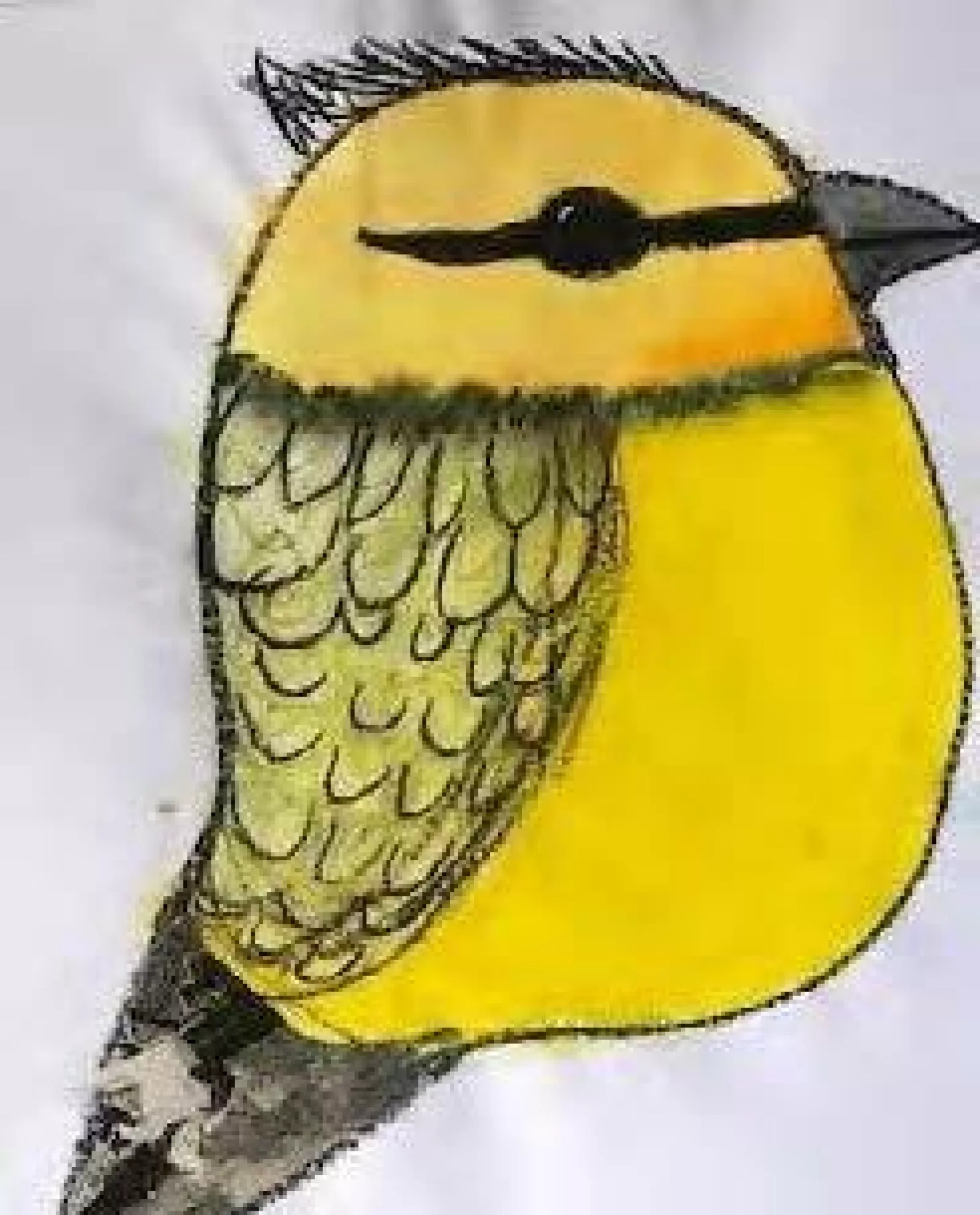 St Marys Whole School News February 2021 2 LV 3 FINAL EDITION for app