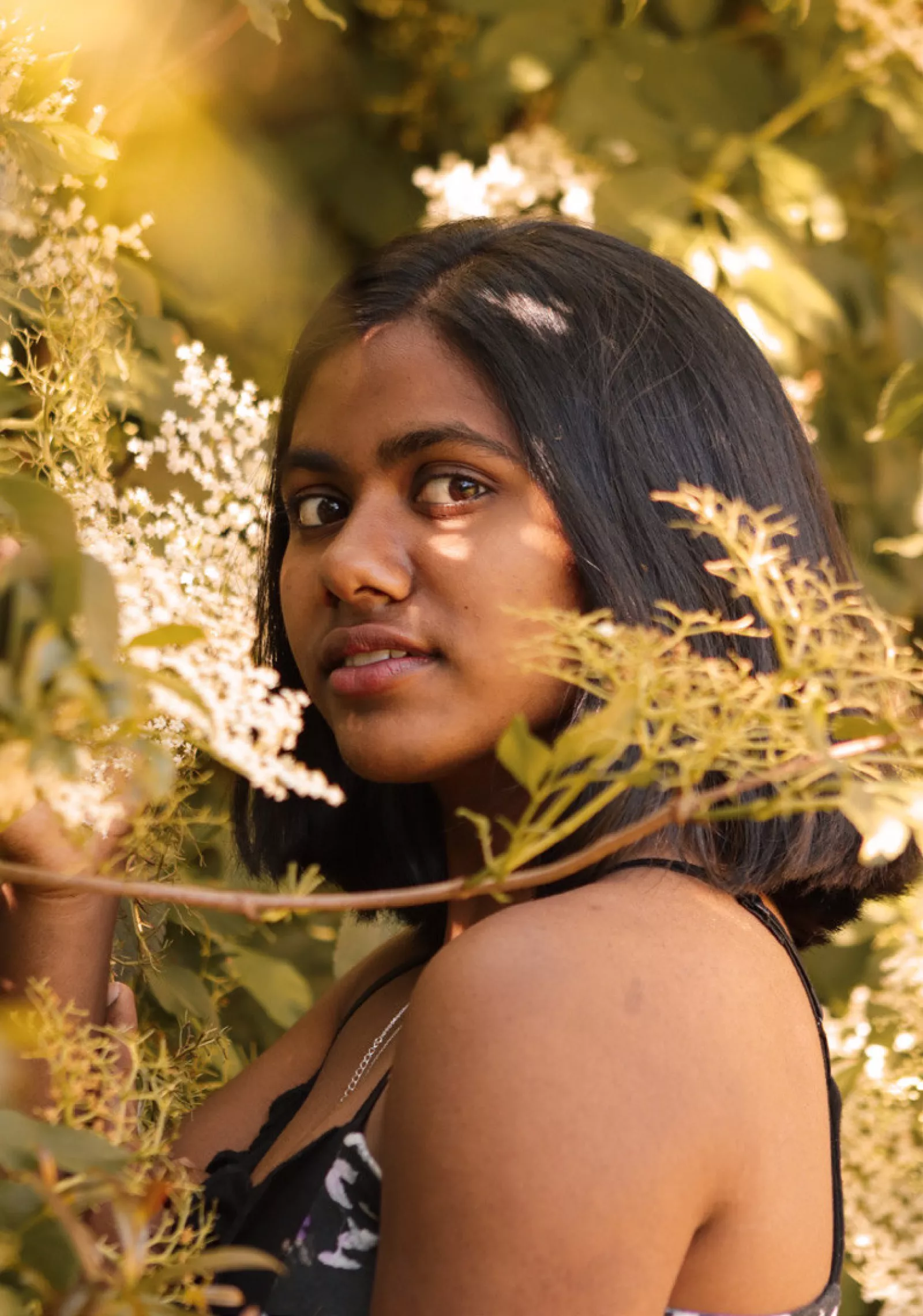 At the bottom of the garden Golden Stephanie Bergesen