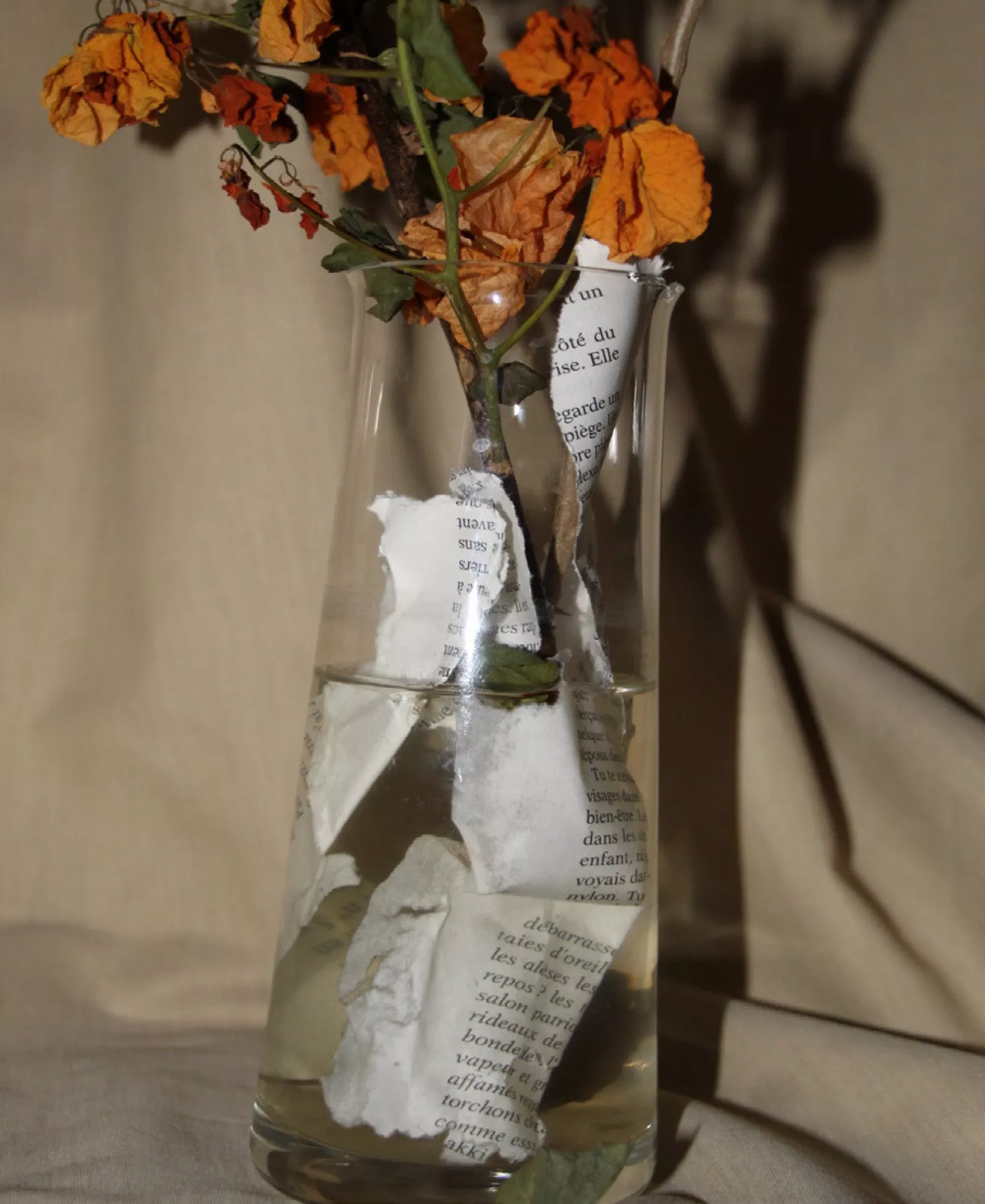 Still Life Our Roots Zoé Cheenne