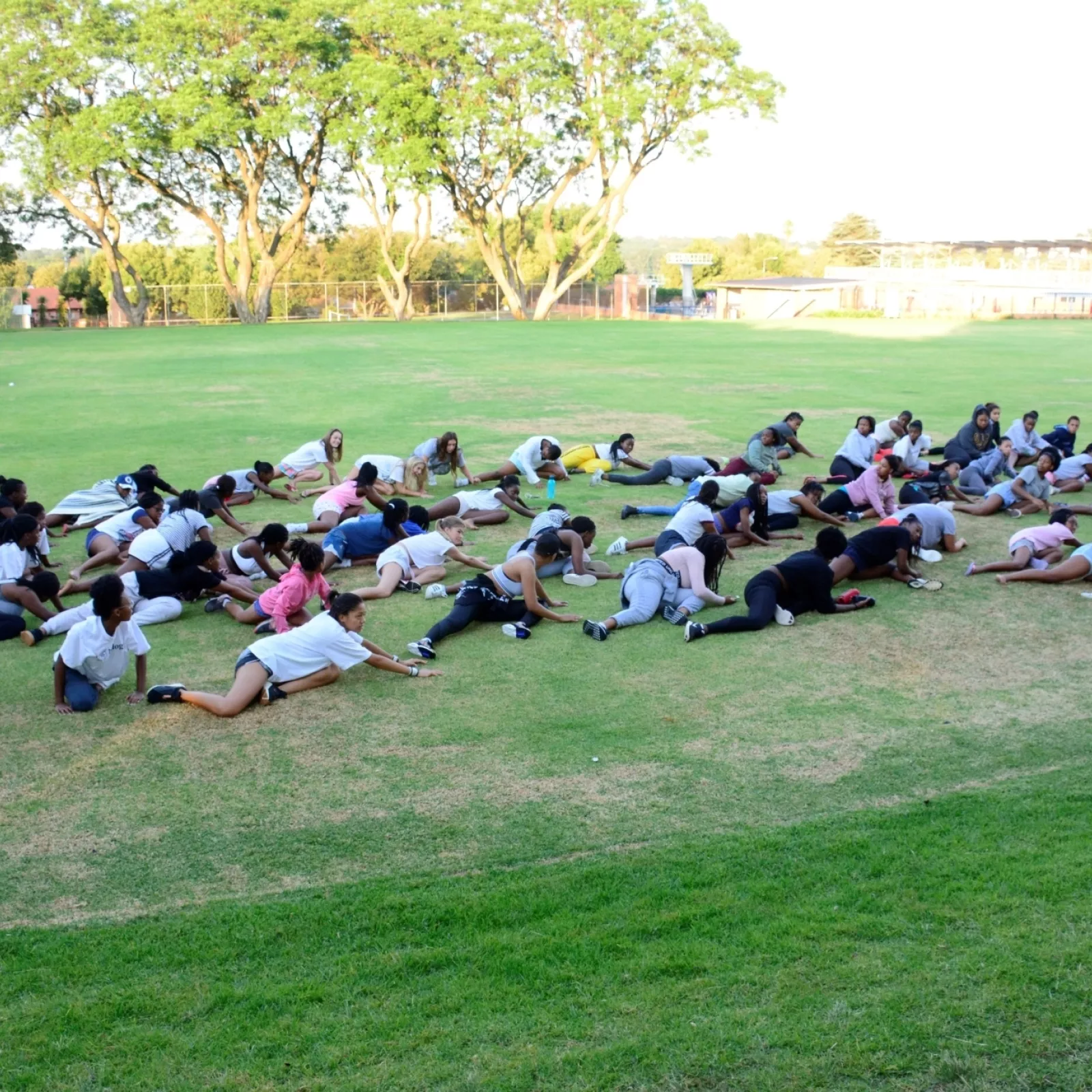 A stretching session on the old field