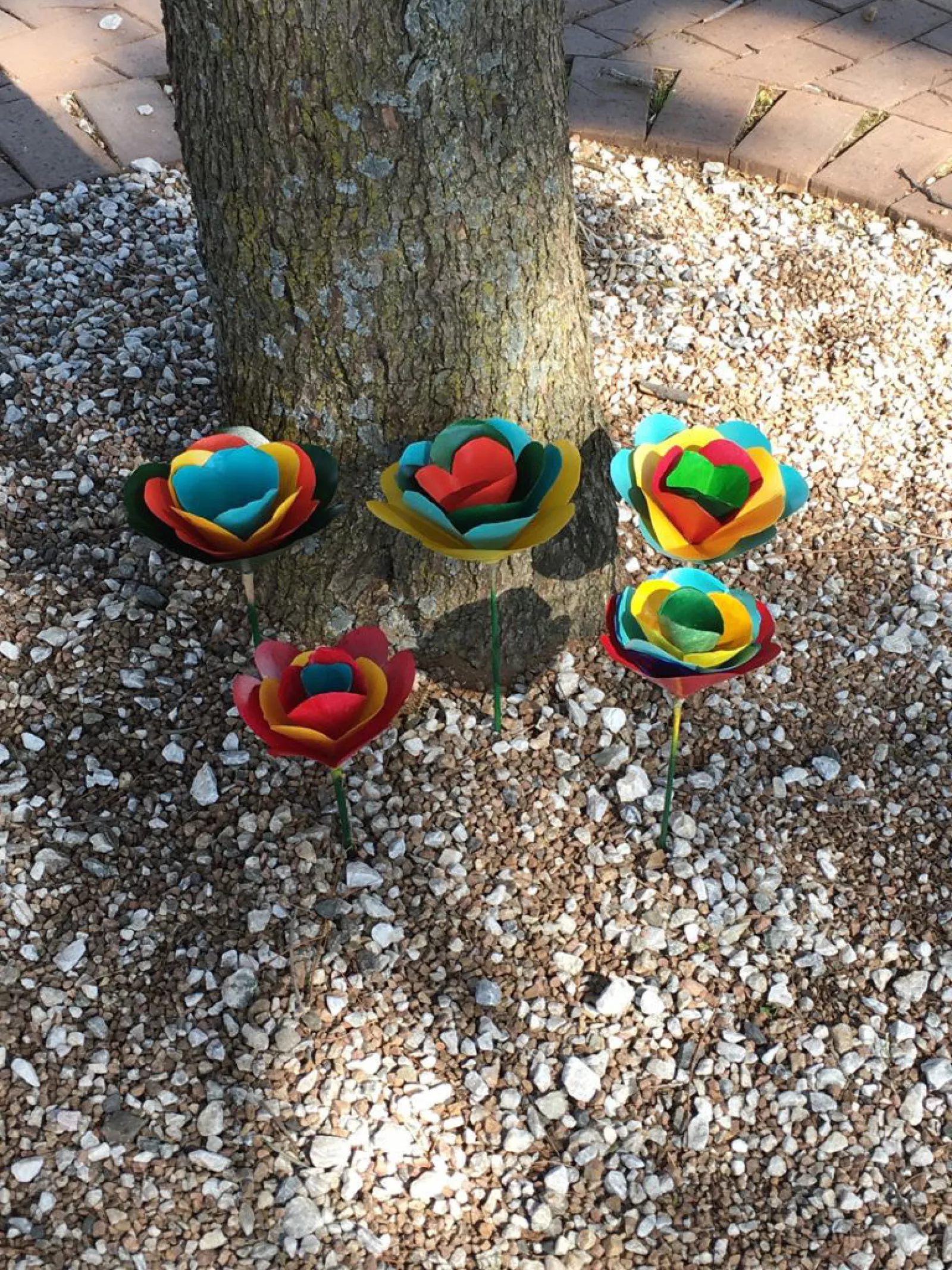 St Marys Senior School News 1 October final for emailing and app 0031